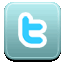 twitter logo